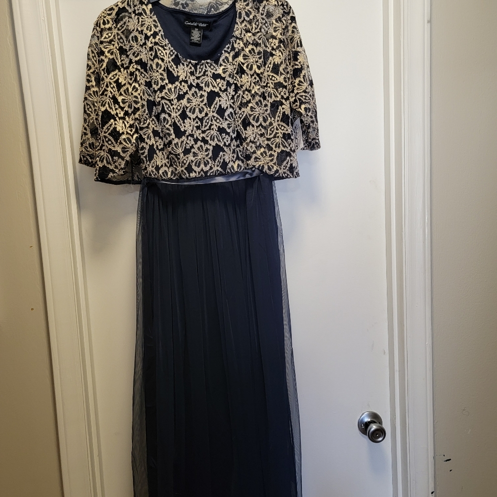 Blue Dress NWOT